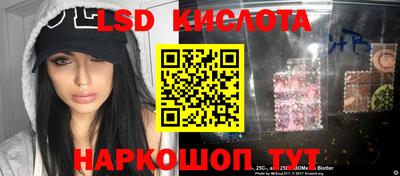 гидра Камень-на-Оби