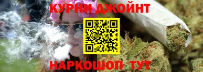 гидра Камень-на-Оби