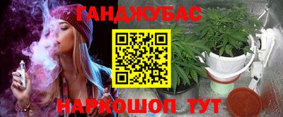 гидра Камень-на-Оби