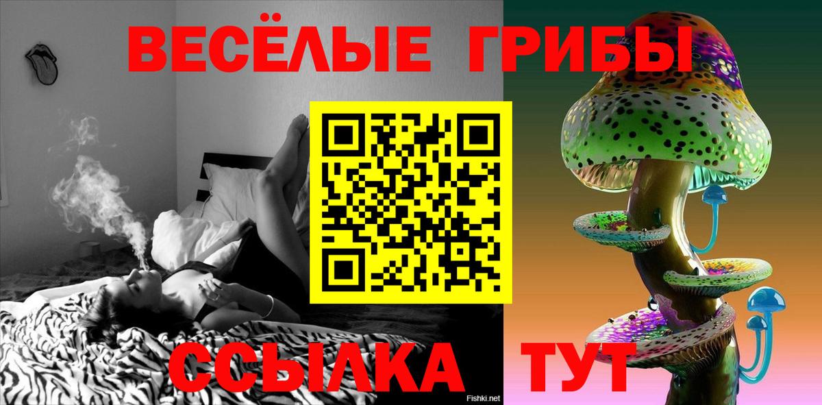 Галлюциногенные грибы мухоморы Всеволожск