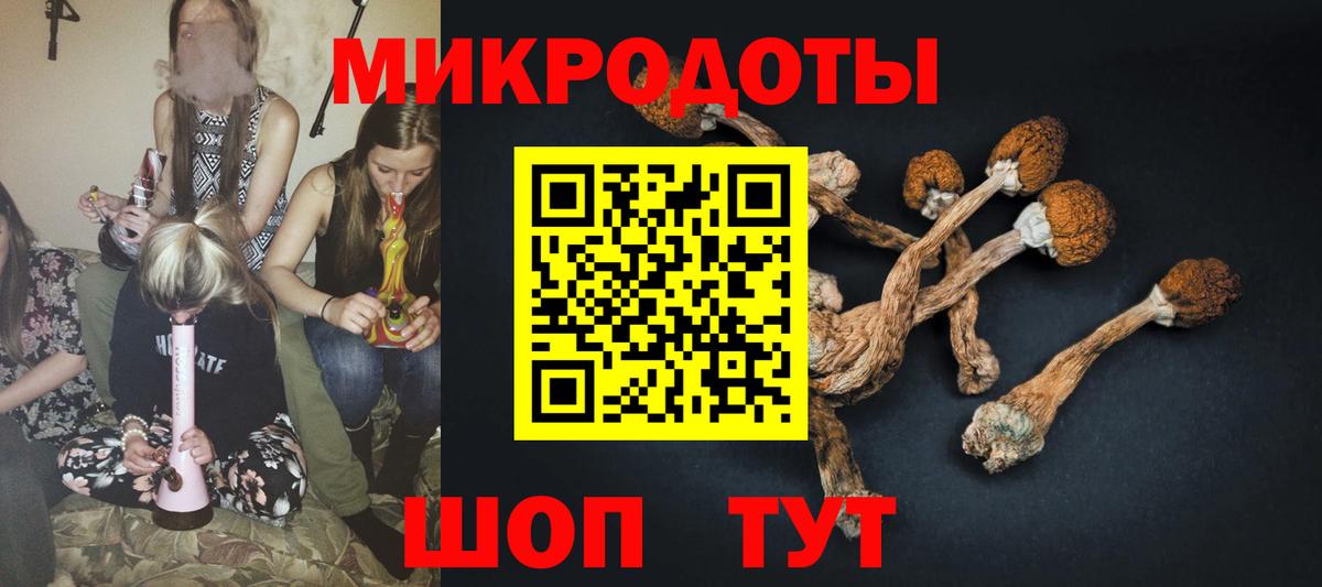 Псилоцибиновые грибы мухоморы  Галлюциногенные грибы Psilocybine cubensis  Вход с VPN  Всеволожск 